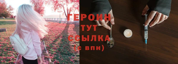 дмт Бородино