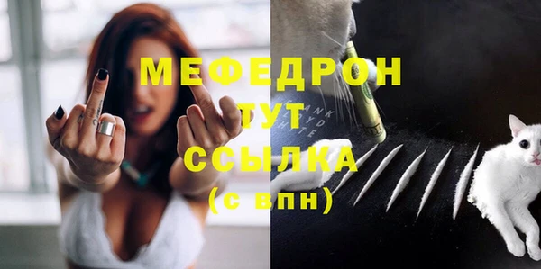 дмт Бородино