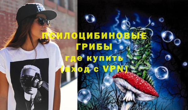 дмт Бородино