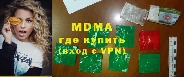 дмт Бородино
