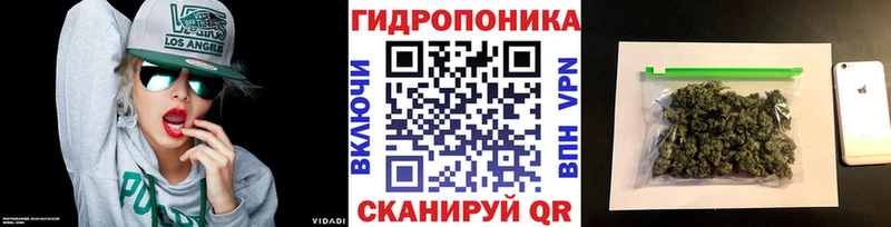 Шишки марихуана гибрид  Мезень 
